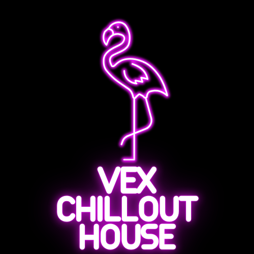 VEX CHILL OUT HOUSE